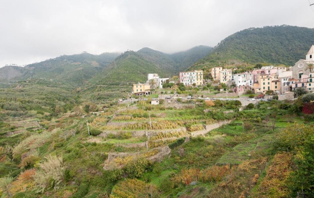 Arbanella Hotel Corniglia Cameră foto